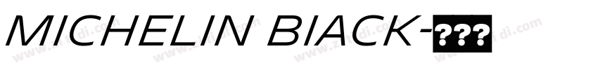 Michelin BIack字体转换